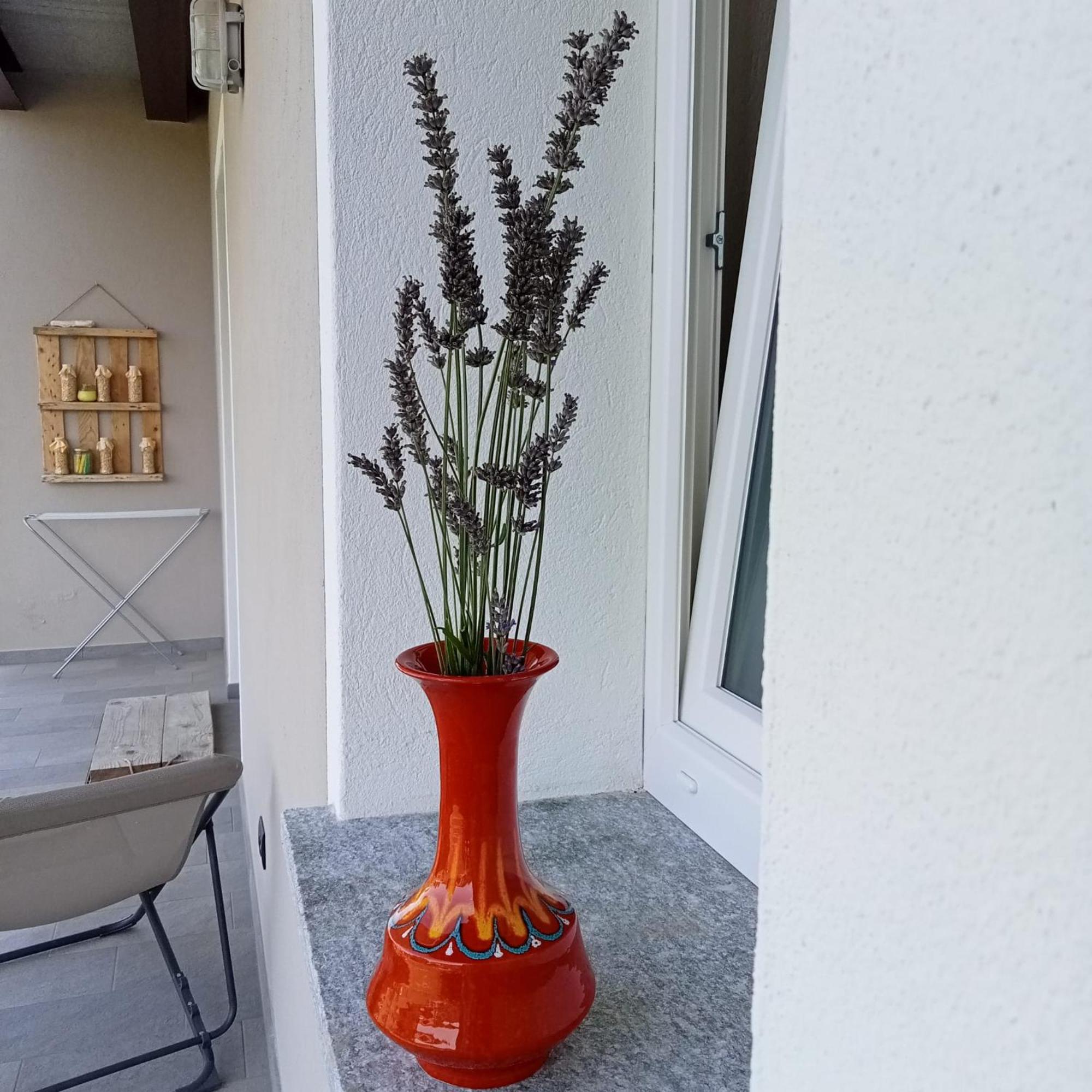Santino'S House 호텔 Peveragno 외부 사진